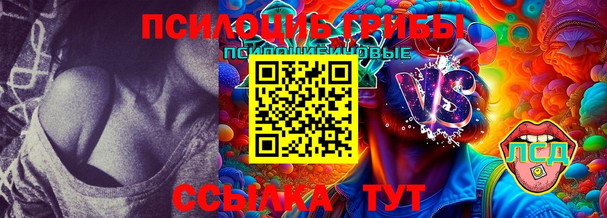 Галлюциногенные грибы GOLDEN TEACHER  Вход с VPN  Галлюциногенные грибы GOLDEN TEACHER  Ессентуки 