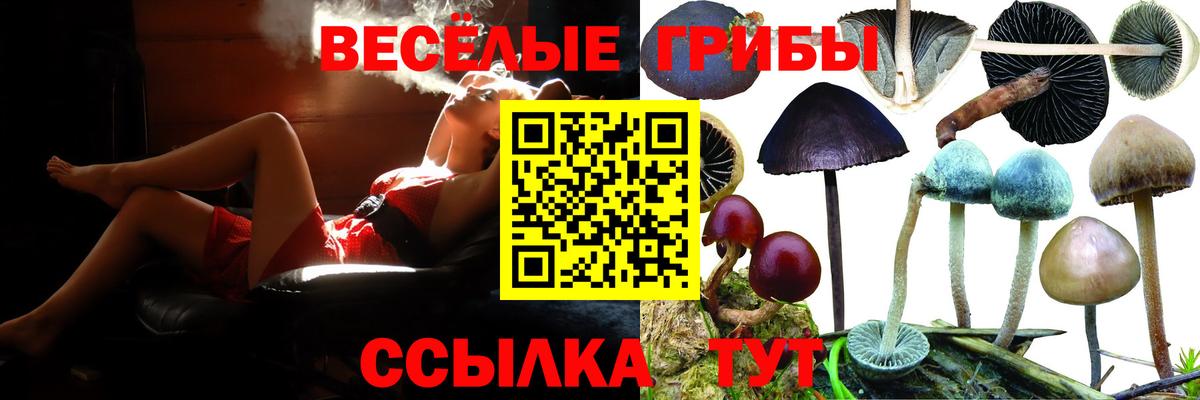 Псилоцибиновые грибы GOLDEN TEACHER Ессентуки